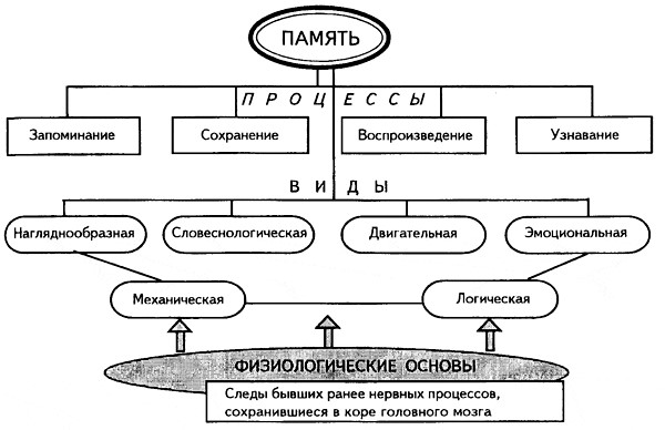 Схема по теме память психология