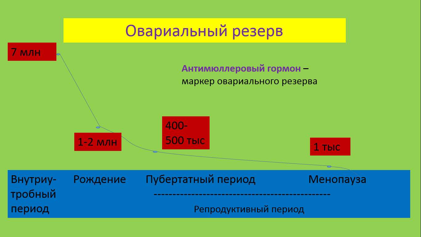 Амг яичников. Низкий АМГ овариальный резерв. Оценка овариального резерва АМГ. Овариальный резерв яичников. Овариальный запас.