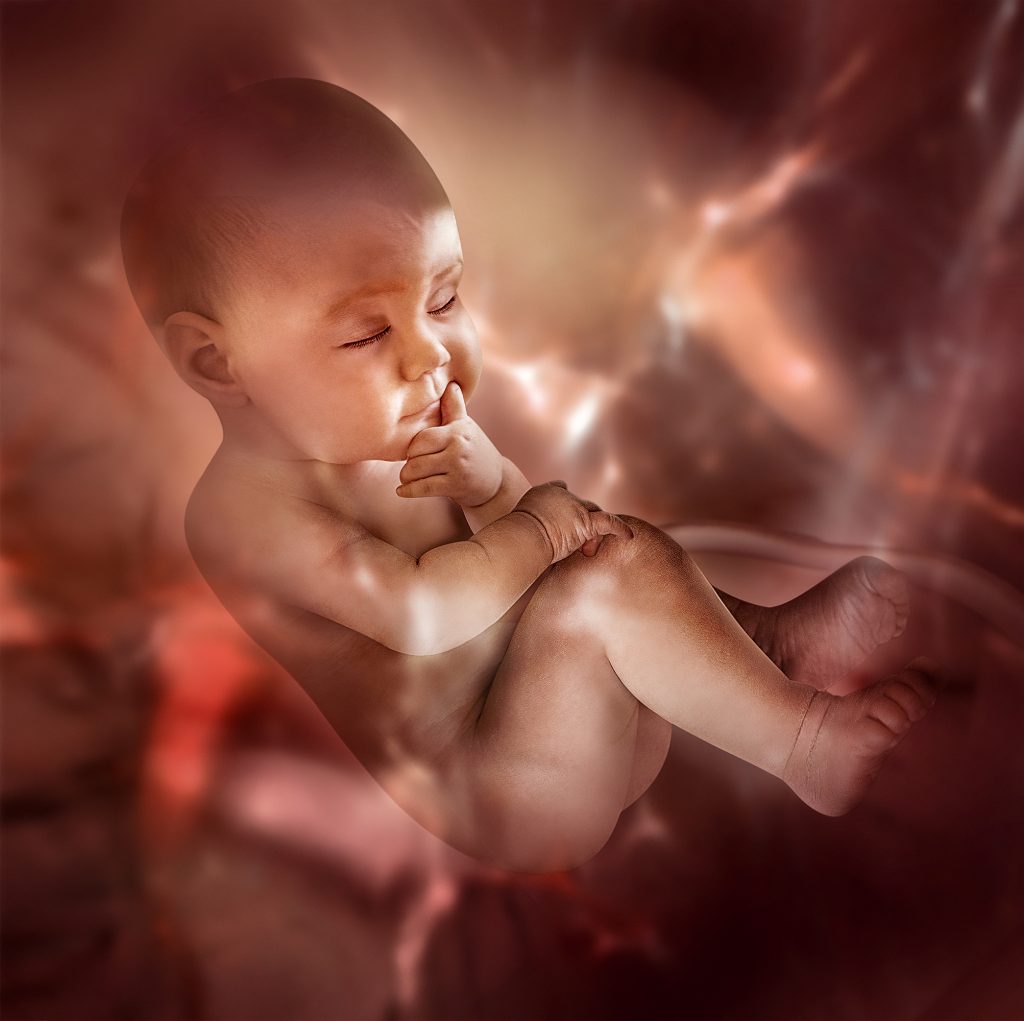 Ребенок в утробе матери сосет палец